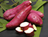 Batata Doce