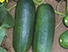 Pepino Caipira